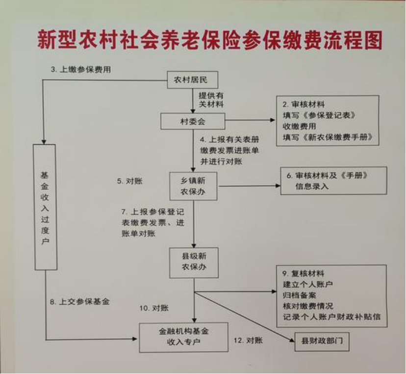 黄石农村医保和社保有什么区别(农村医保跟社保的区别)