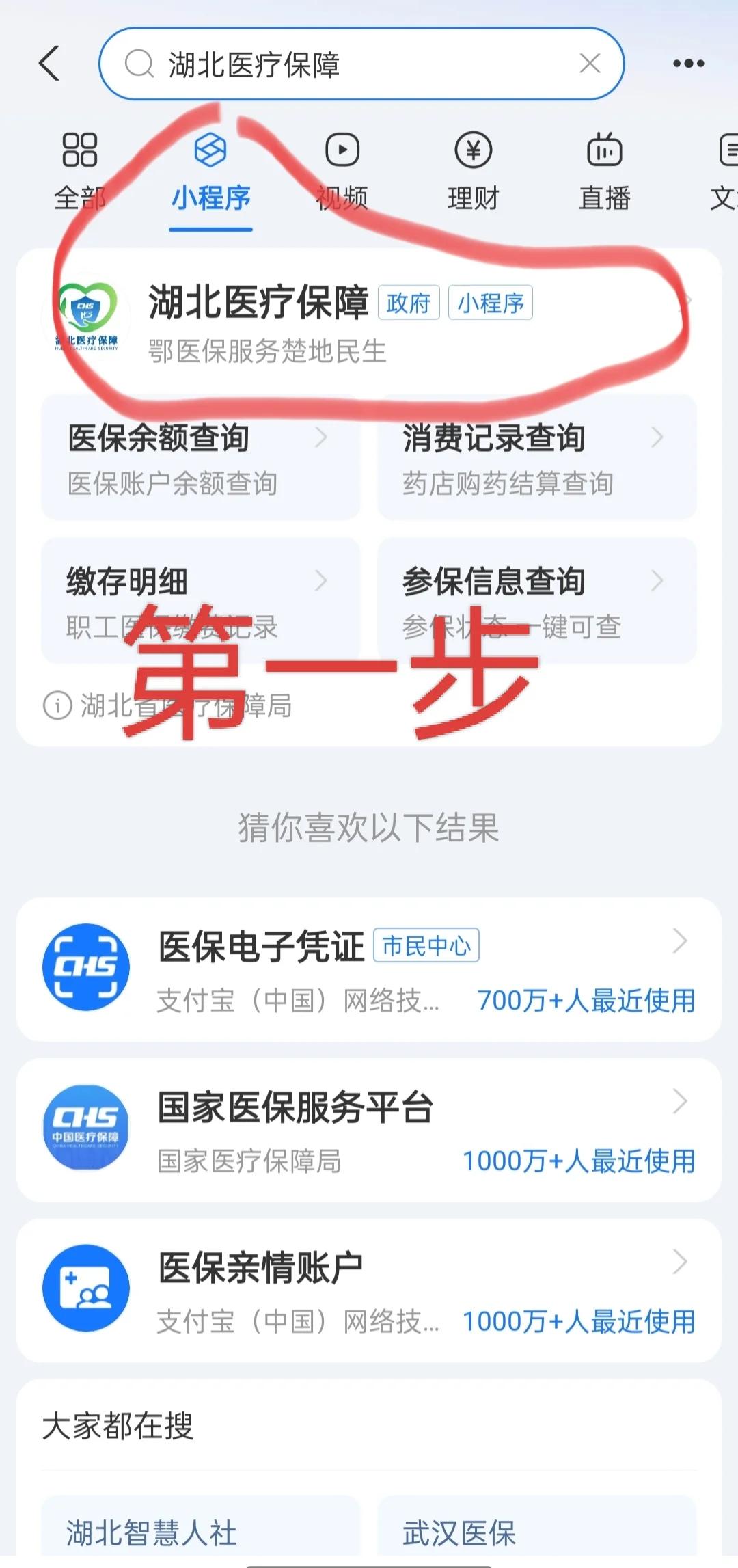 黄石医保网上怎么缴费(孩子居民医保网上怎么缴费)
